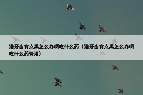 猫牙齿有点黑怎么办啊吃什么药（猫牙齿有点黑怎么办啊吃什么药管用）