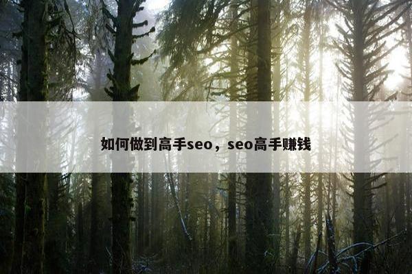 如何做到高手seo，seo高手赚钱