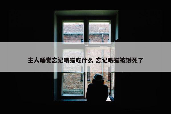 主人睡觉忘记喂猫吃什么 忘记喂猫被饿死了