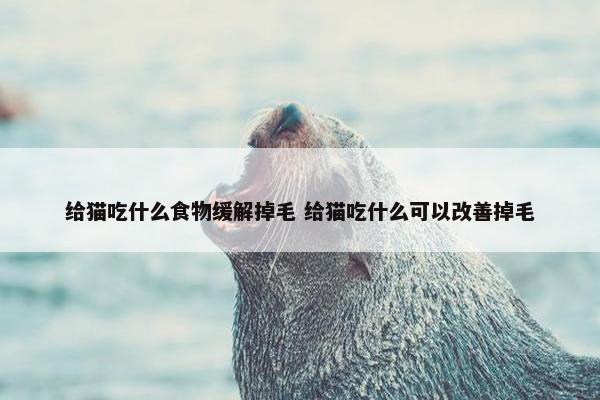 给猫吃什么食物缓解掉毛 给猫吃什么可以改善掉毛