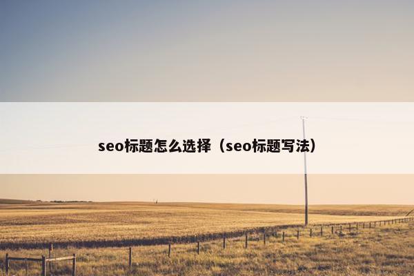 seo标题怎么选择（seo标题写法）