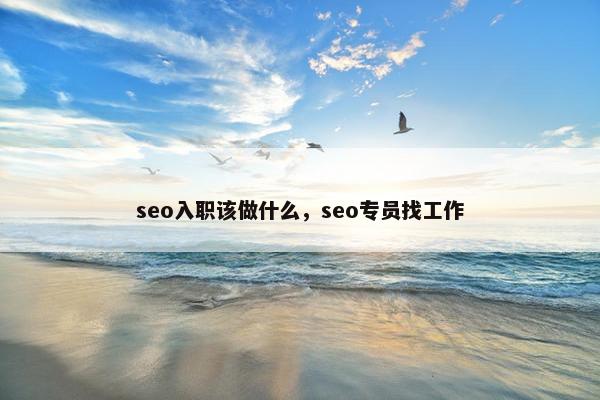 seo入职该做什么，seo专员找工作