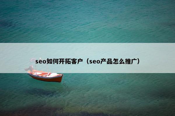 seo如何开拓客户（seo产品怎么推广）