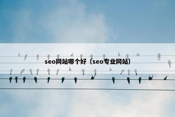 seo网站哪个好（seo专业网站）