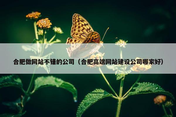 合肥做网站不错的公司（合肥高端网站建设公司哪家好）