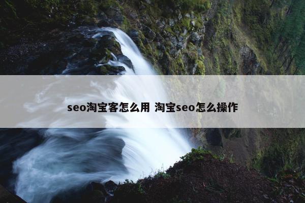 seo淘宝客怎么用 淘宝seo怎么操作