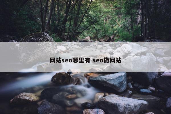 网站seo哪里有 seo做网站