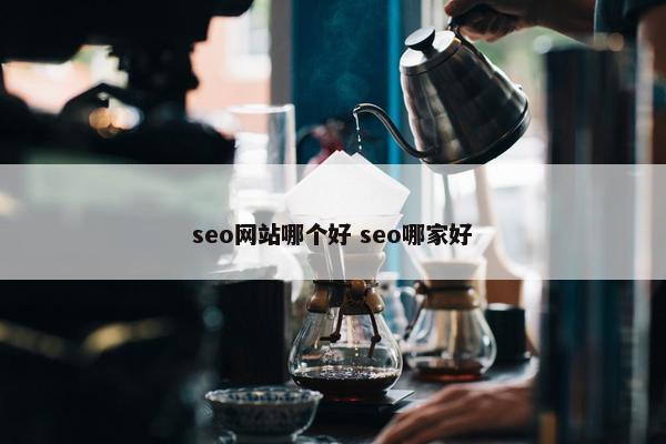 seo网站哪个好 seo哪家好