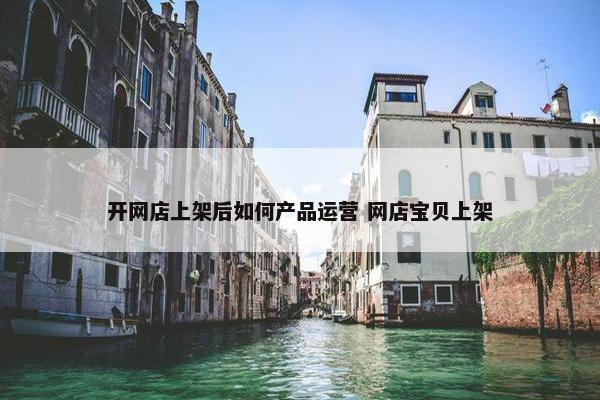 开网店上架后如何产品运营 网店宝贝上架