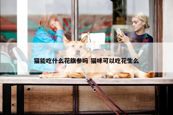 猫能吃什么花旗参吗 猫咪可以吃花生么