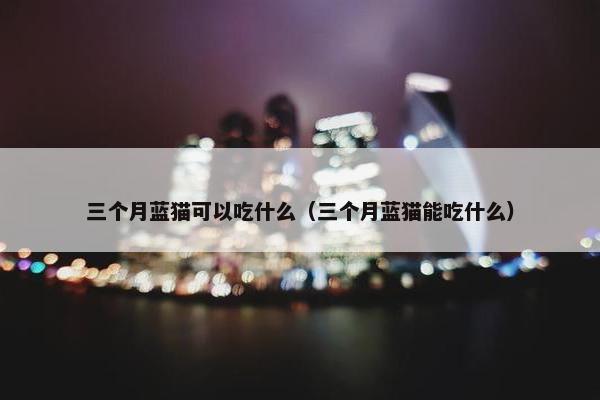 三个月蓝猫可以吃什么（三个月蓝猫能吃什么）