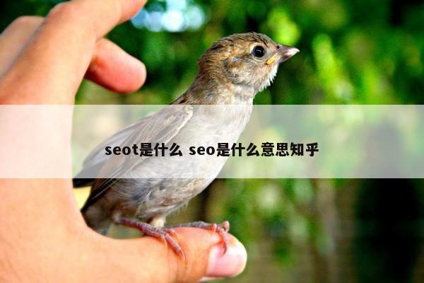 seot是什么 seo是什么意思知乎