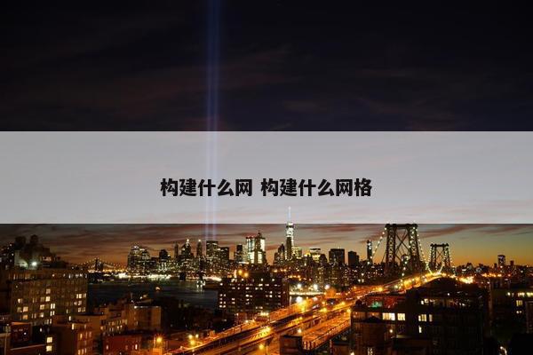 构建什么网 构建什么网格