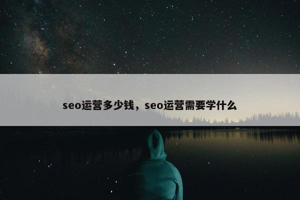 seo运营多少钱，seo运营需要学什么