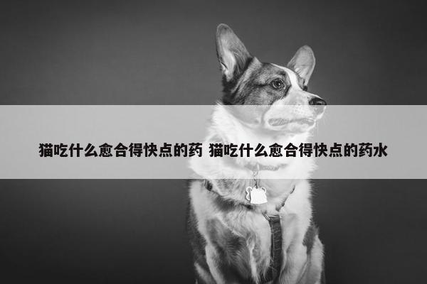 猫吃什么愈合得快点的药 猫吃什么愈合得快点的药水