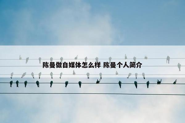 陈曼做自媒体怎么样 陈曼个人简介