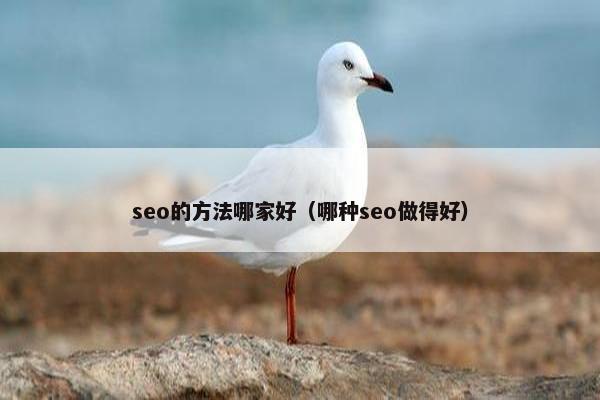 seo的方法哪家好（哪种seo做得好）