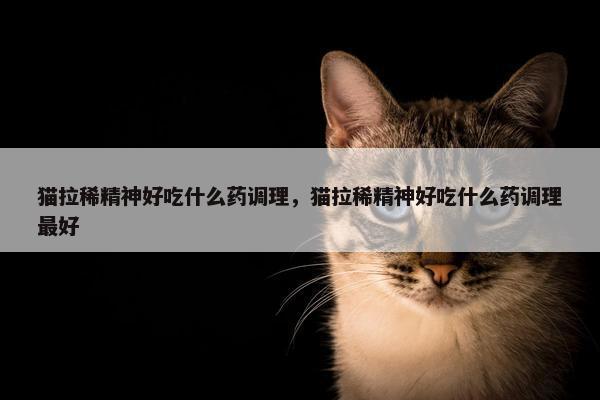 猫拉稀精神好吃什么药调理，猫拉稀精神好吃什么药调理最好