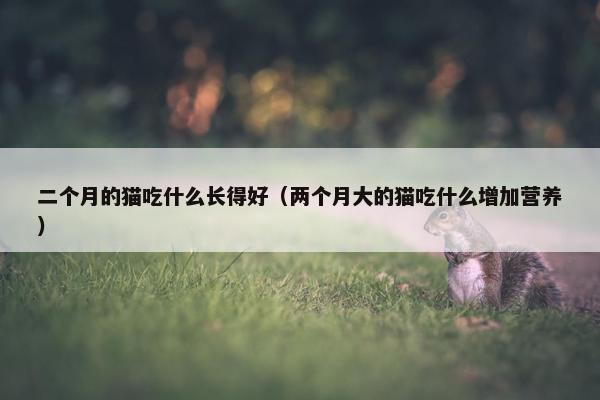 二个月的猫吃什么长得好（两个月大的猫吃什么增加营养）