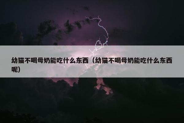 幼猫不喝母奶能吃什么东西（幼猫不喝母奶能吃什么东西呢）