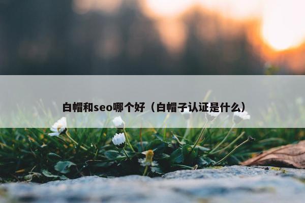 白帽和seo哪个好（白帽子认证是什么）