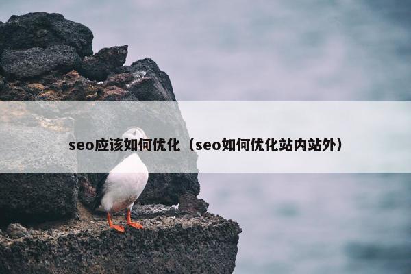 seo应该如何优化（seo如何优化站内站外）