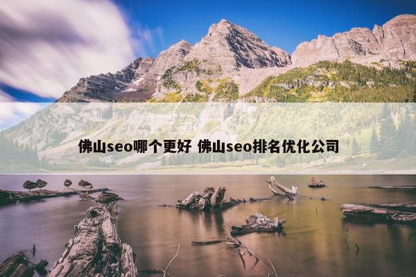 佛山seo哪个更好 佛山seo排名优化公司