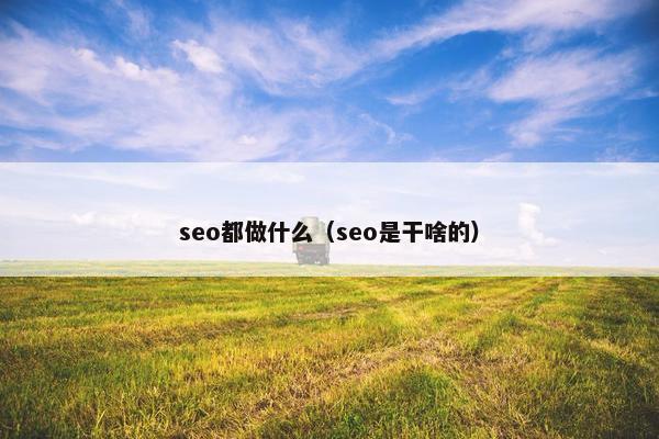 seo都做什么（seo是干啥的）