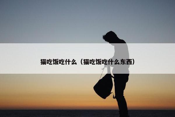 猫吃饭吃什么（猫吃饭吃什么东西）