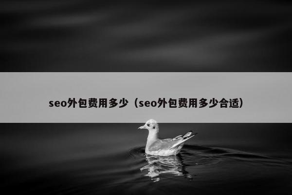 seo外包费用多少（seo外包费用多少合适）