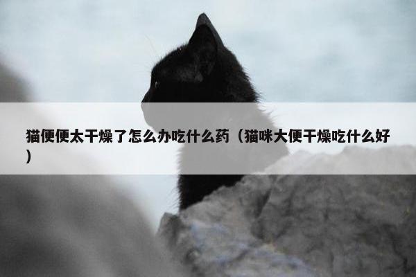 猫便便太干燥了怎么办吃什么药（猫咪大便干燥吃什么好）