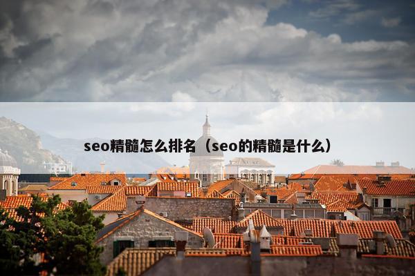 seo精髓怎么排名（seo的精髓是什么）