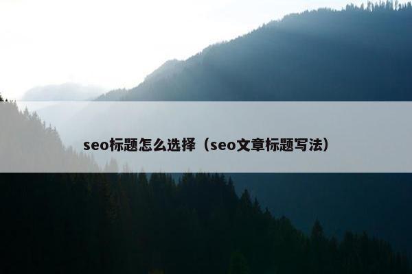 seo标题怎么选择（seo文章标题写法）