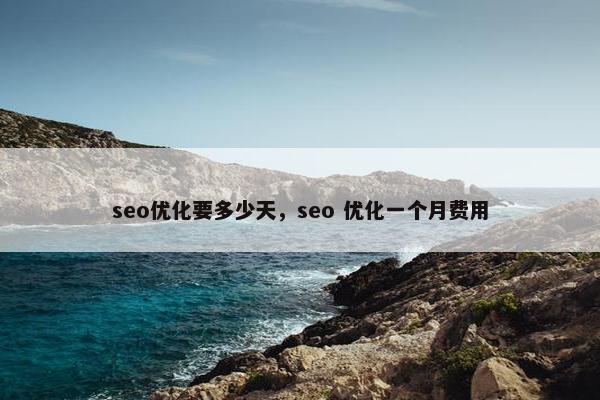 seo优化要多少天，seo 优化一个月费用