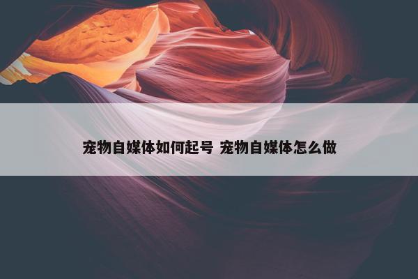 宠物自媒体如何起号 宠物自媒体怎么做