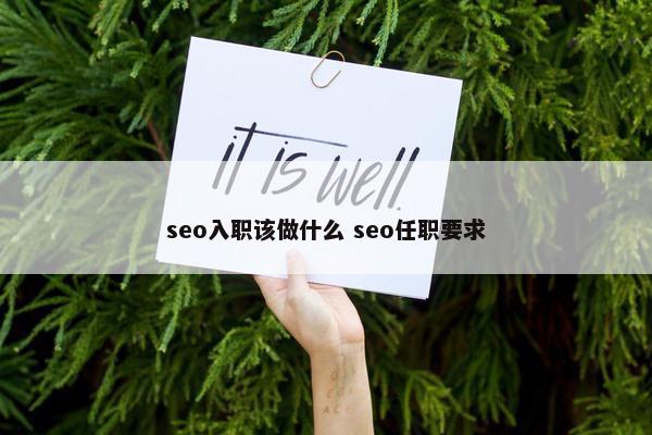 seo入职该做什么 seo任职要求