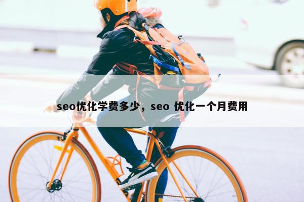 seo优化学费多少，seo 优化一个月费用