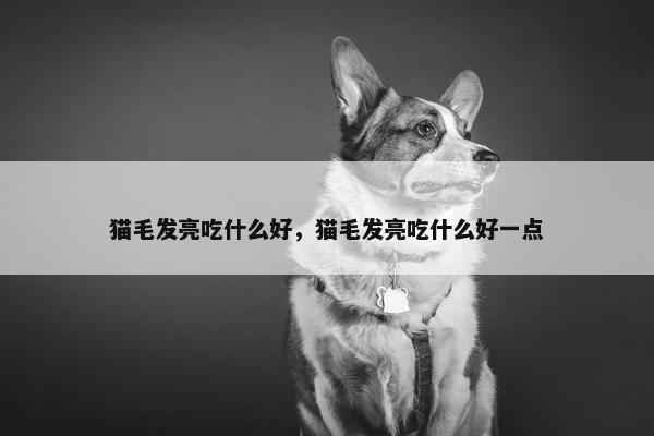 猫毛发亮吃什么好，猫毛发亮吃什么好一点