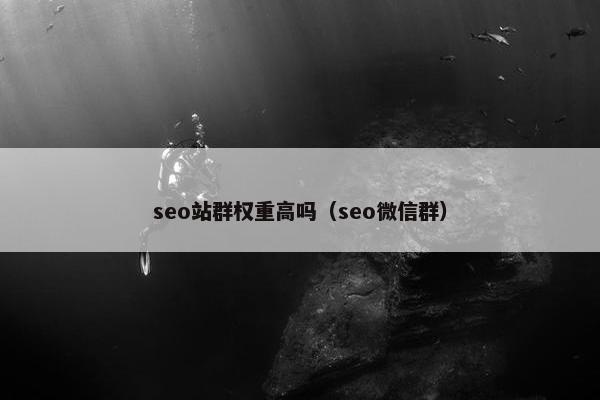 seo站群权重高吗（seo微信群）