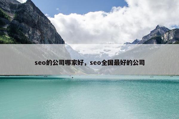 seo的公司哪家好，seo全国最好的公司