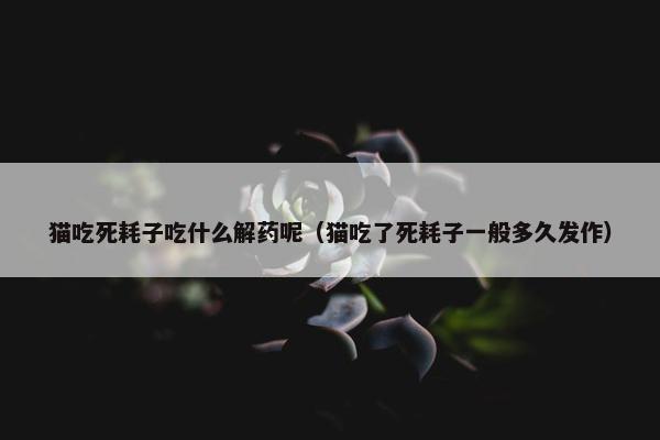 猫吃死耗子吃什么解药呢（猫吃了死耗子一般多久发作）