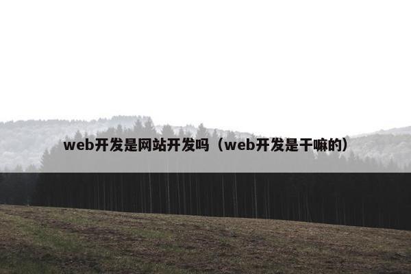 web开发是网站开发吗（web开发是干嘛的）