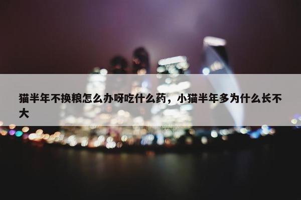 猫半年不换粮怎么办呀吃什么药，小猫半年多为什么长不大