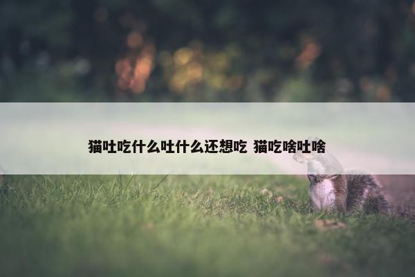 猫吐吃什么吐什么还想吃 猫吃啥吐啥