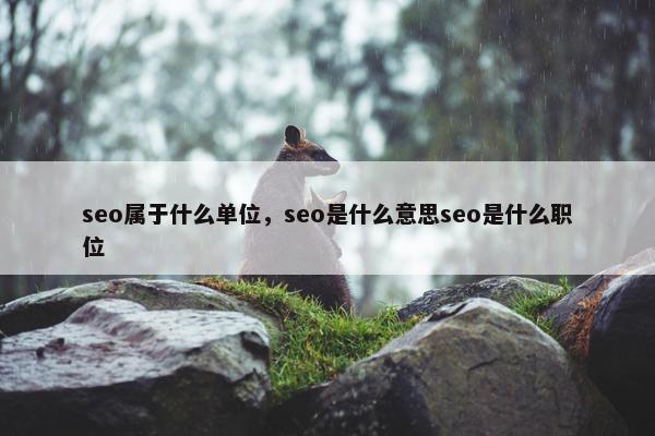 seo属于什么单位，seo是什么意思seo是什么职位