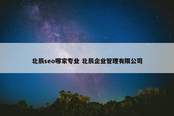 北辰seo哪家专业 北辰企业管理有限公司