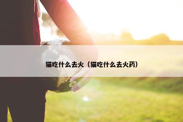 猫吃什么去火（猫吃什么去火药）