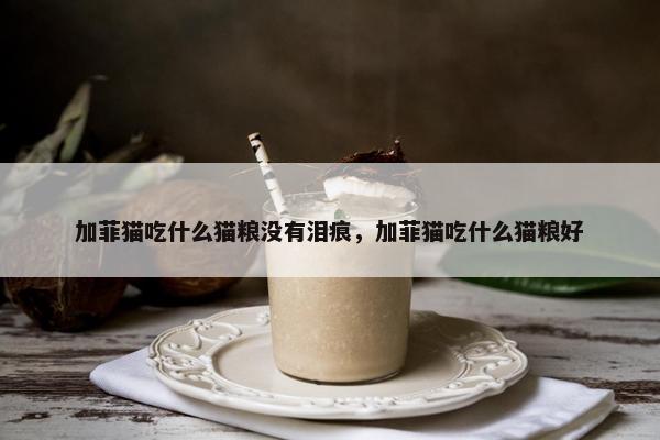 加菲猫吃什么猫粮没有泪痕，加菲猫吃什么猫粮好