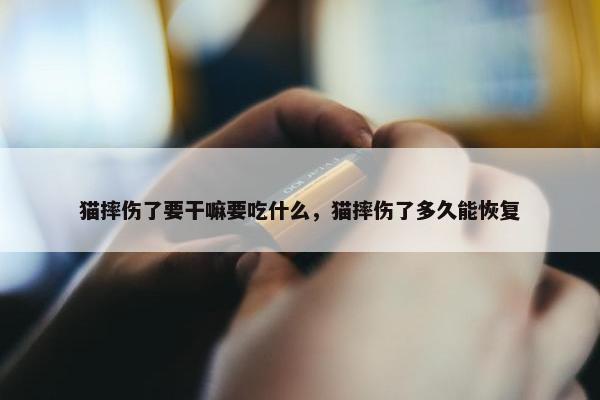 猫摔伤了要干嘛要吃什么，猫摔伤了多久能恢复