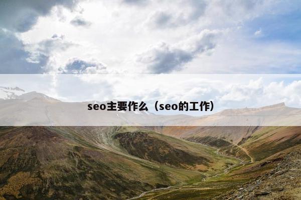 seo主要作么（seo的工作）